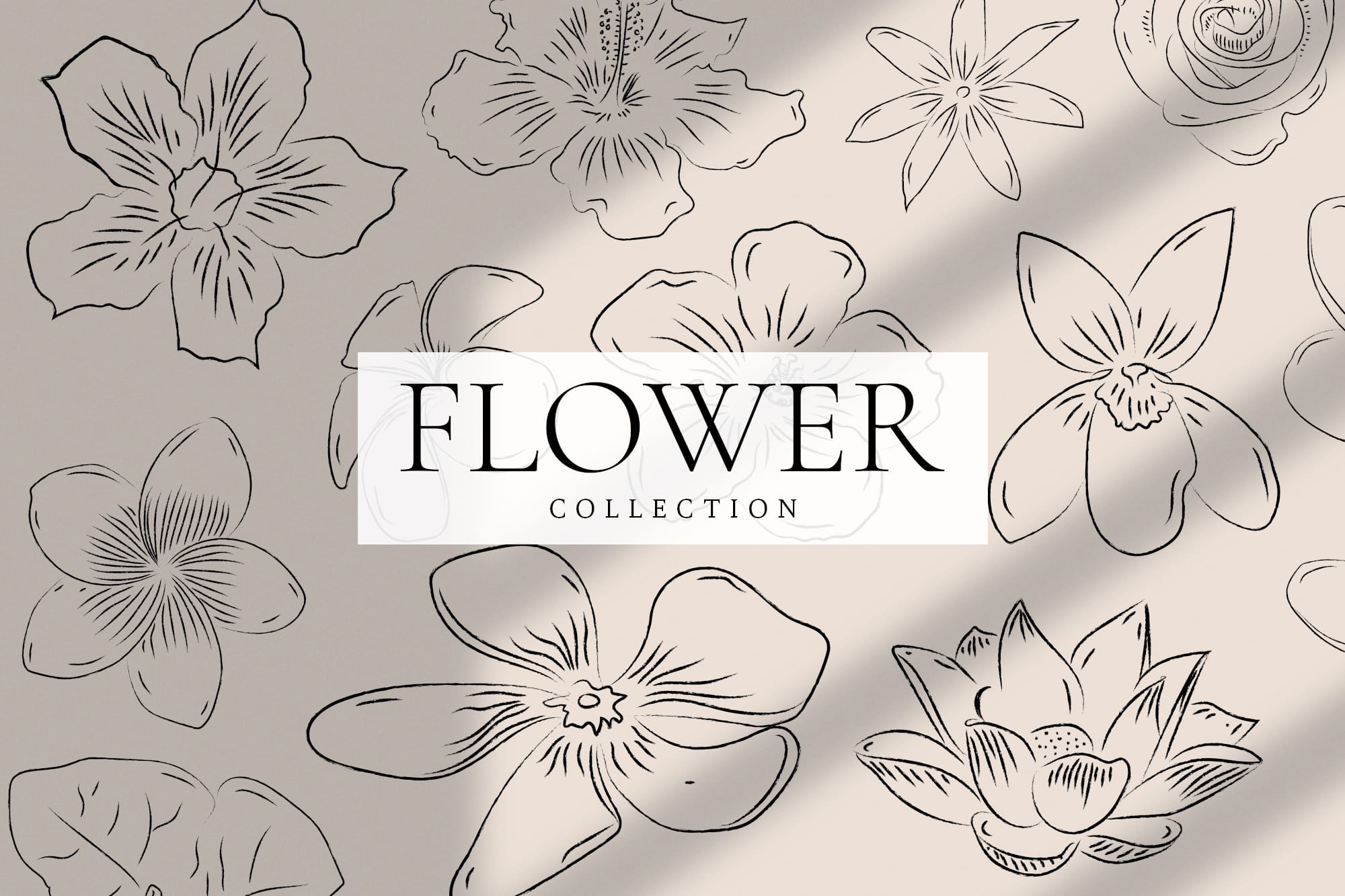 Canva Flower Elements