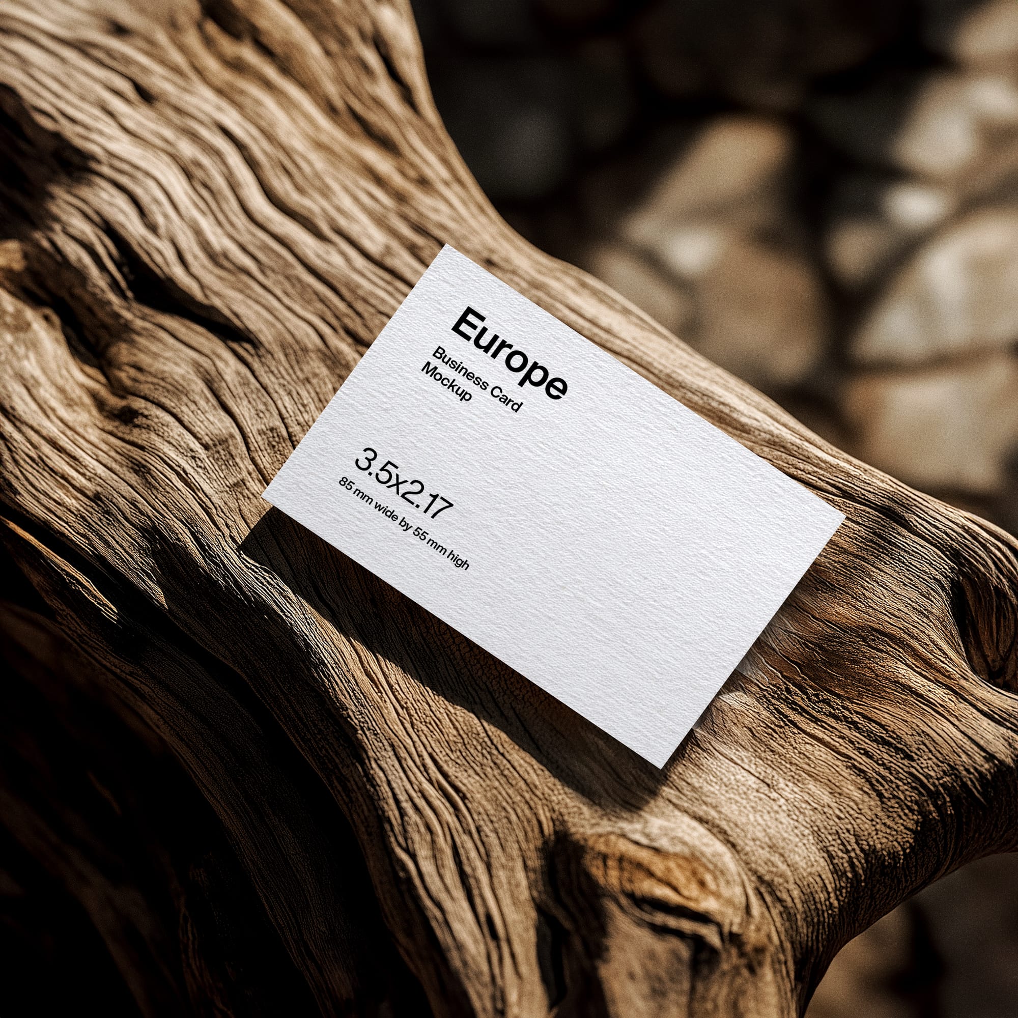 Europe Business Card Mockup