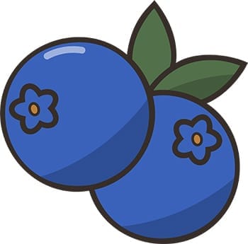 Blueberry