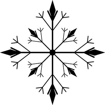 Snowflake 9