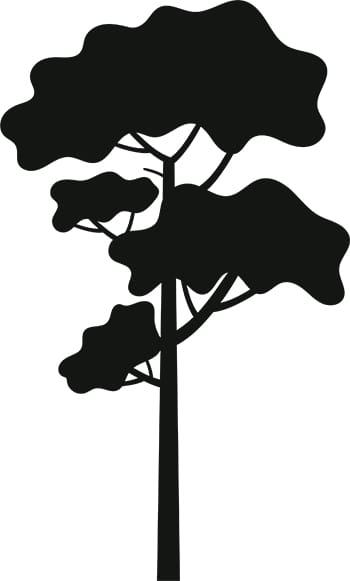 Tree Silhouette 1