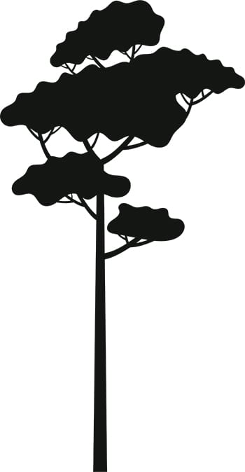 Tree Silhouette 13