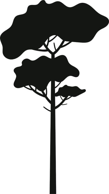 Tree Silhouette 3