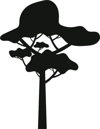 Tree Silhouette 7