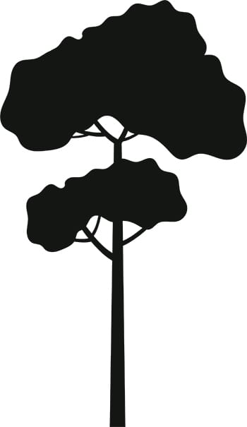 Tree Silhouette 8