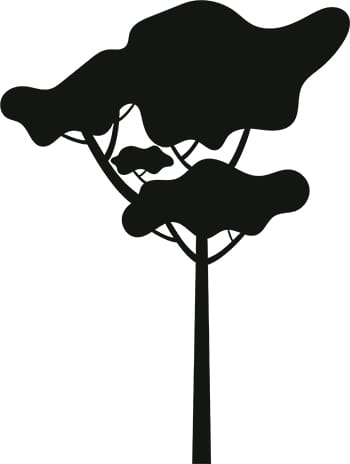 Tree Silhouette 9