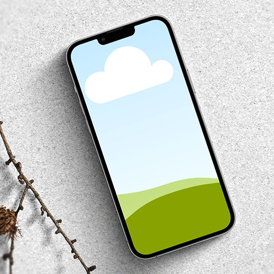 Canva Realistic iPhone Mockup