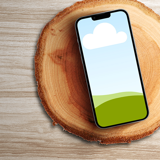 Canva iPhone Mockup on Tree Cut Wood