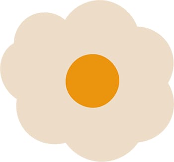 Fried Egg Flower