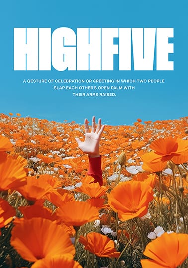 Image Highfive Poster