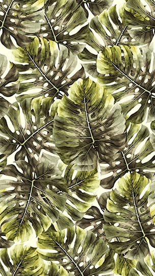 Monstera Leaf Seamless Pattern