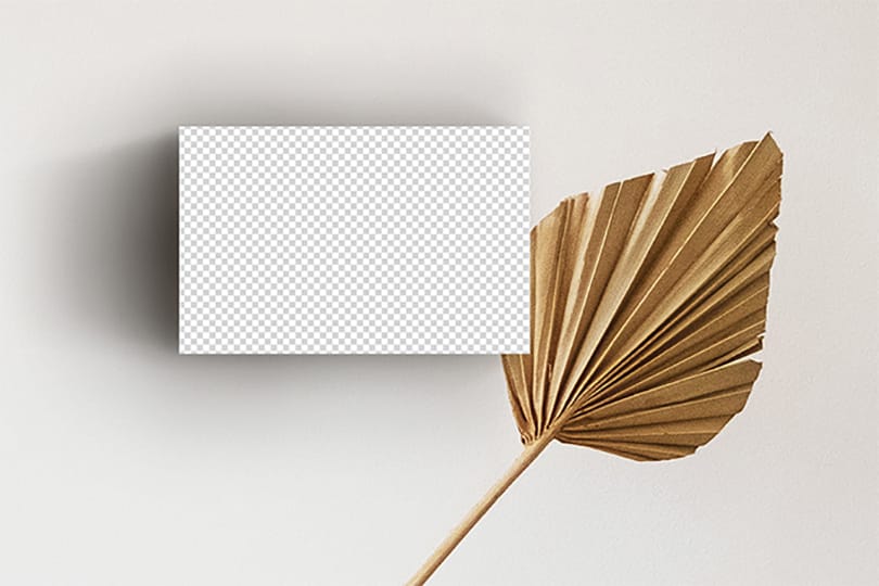 PNG Business Card On Leaf Mockup