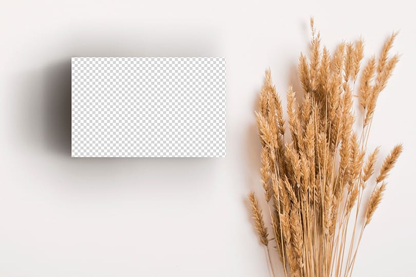 PNG Business Card On White Background With Pampas Mockup