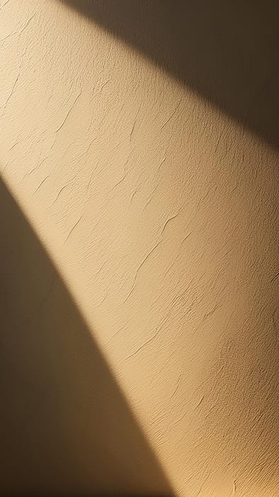 Image Shadow On Wall Surface Background (15)