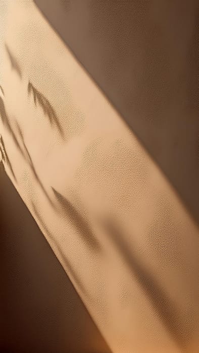 Image Shadow On Wall Surface Background (34)