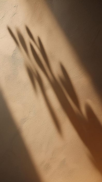 Image Shadow On Wall Surface Background (42)