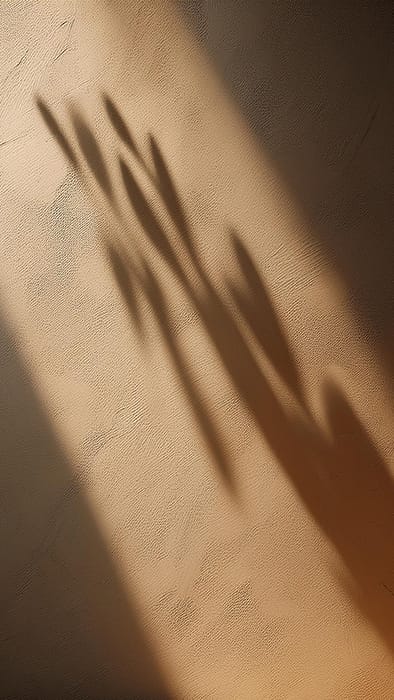 Image Shadow On Wall Surface Background (46)