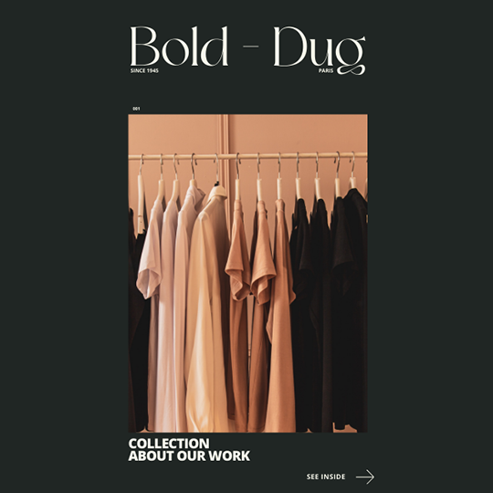 Canva Bold - Dug Aesthetic Fashion Instagram Post