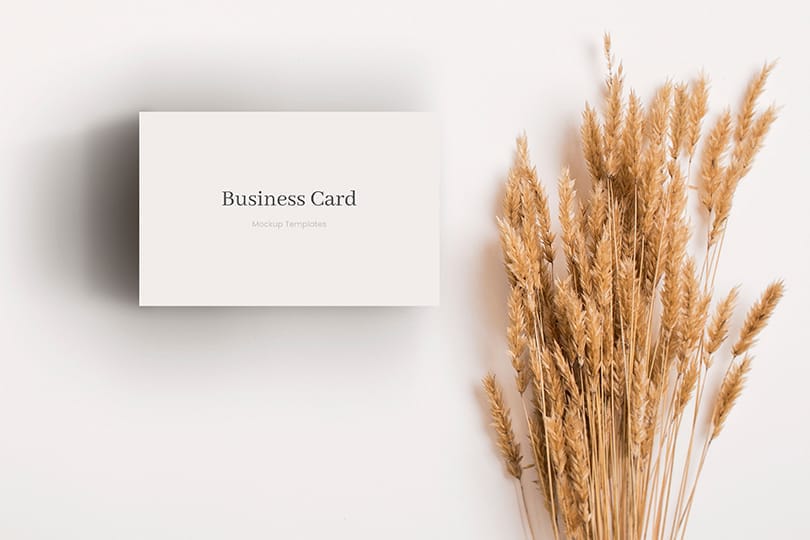 Photoshop Business Card  Mockup on White Background With Pampas