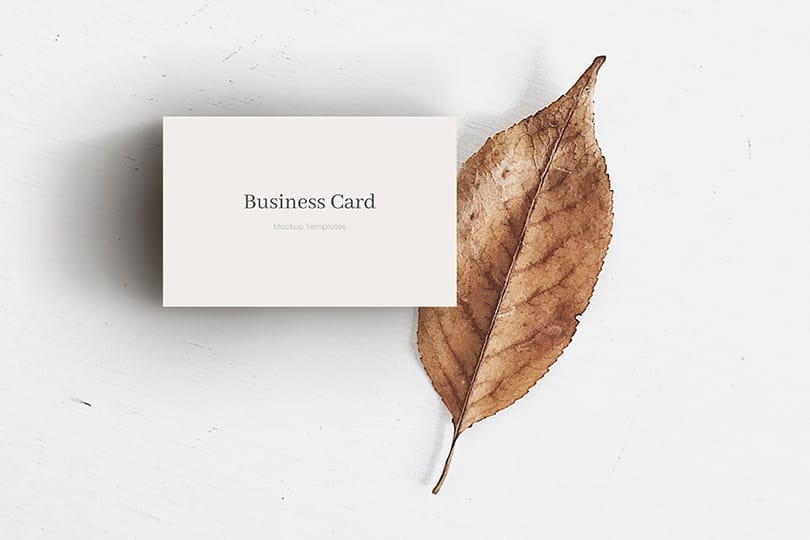 Photoshop Business Card Mockup With Dry Leaf