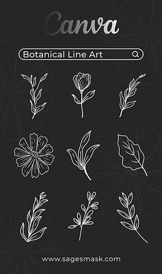 Canva Botanical Lineart Elements