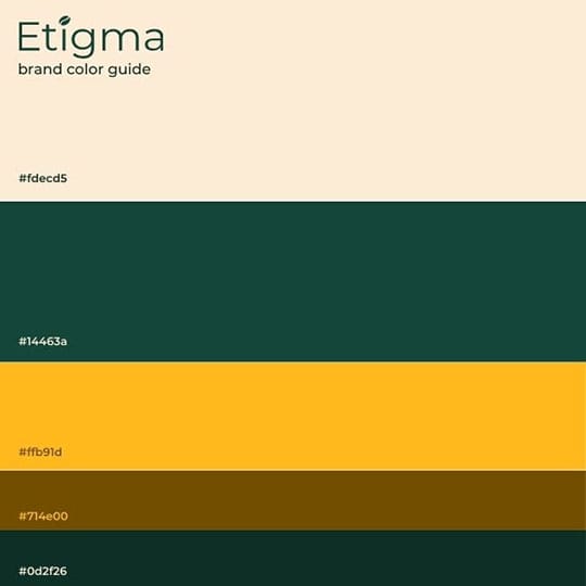 Canva Brand Color Guide Etigma Instagram Post