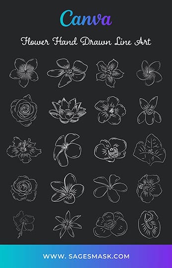 Canva Flower Hand Drawn Line Art Elements