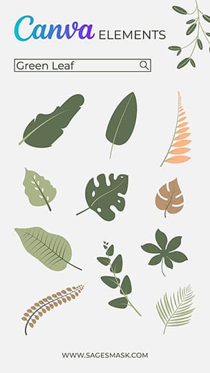 Canva Green Leaf Elements