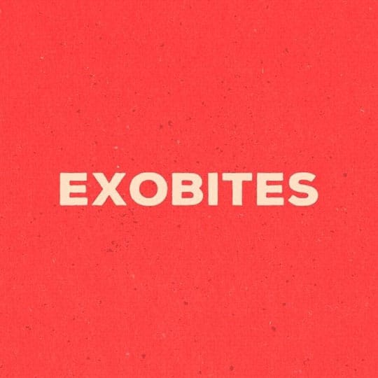 Canva Logo Exobites Instagram Post