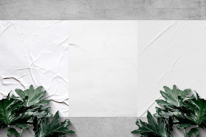 Image Glued Poster Mockup with Plant Decoration