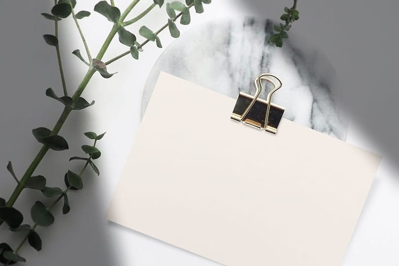 Image Paper Card Mockup With Clip and Plant