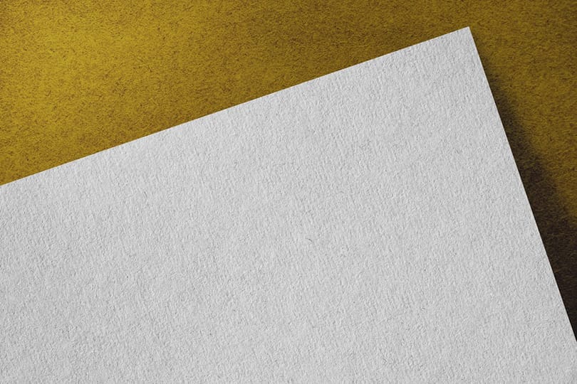 Image Scan Mockup Parchment Paper Surface