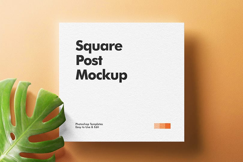 Photoshop Natural Square Post Mockup