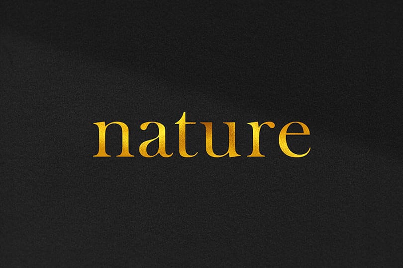 Photoshop Nature Gold Logo Mockup on Black Background