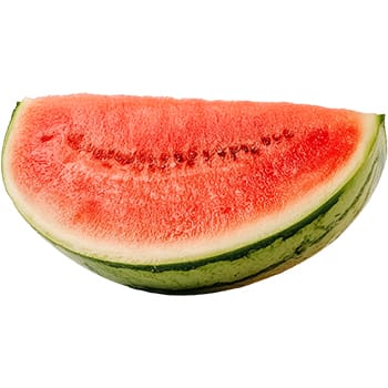 Sticker 1 Piece Watermelon Fruit 2