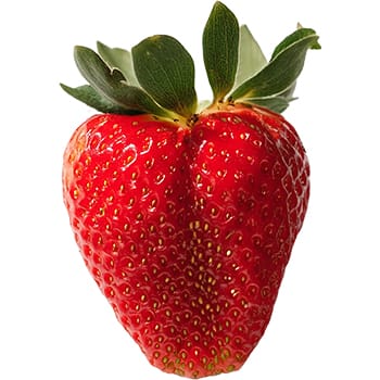 Sticker Strawberry