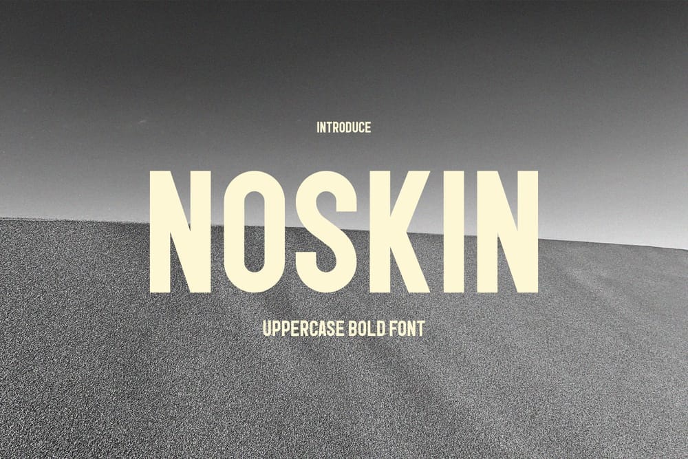 Noskin Font