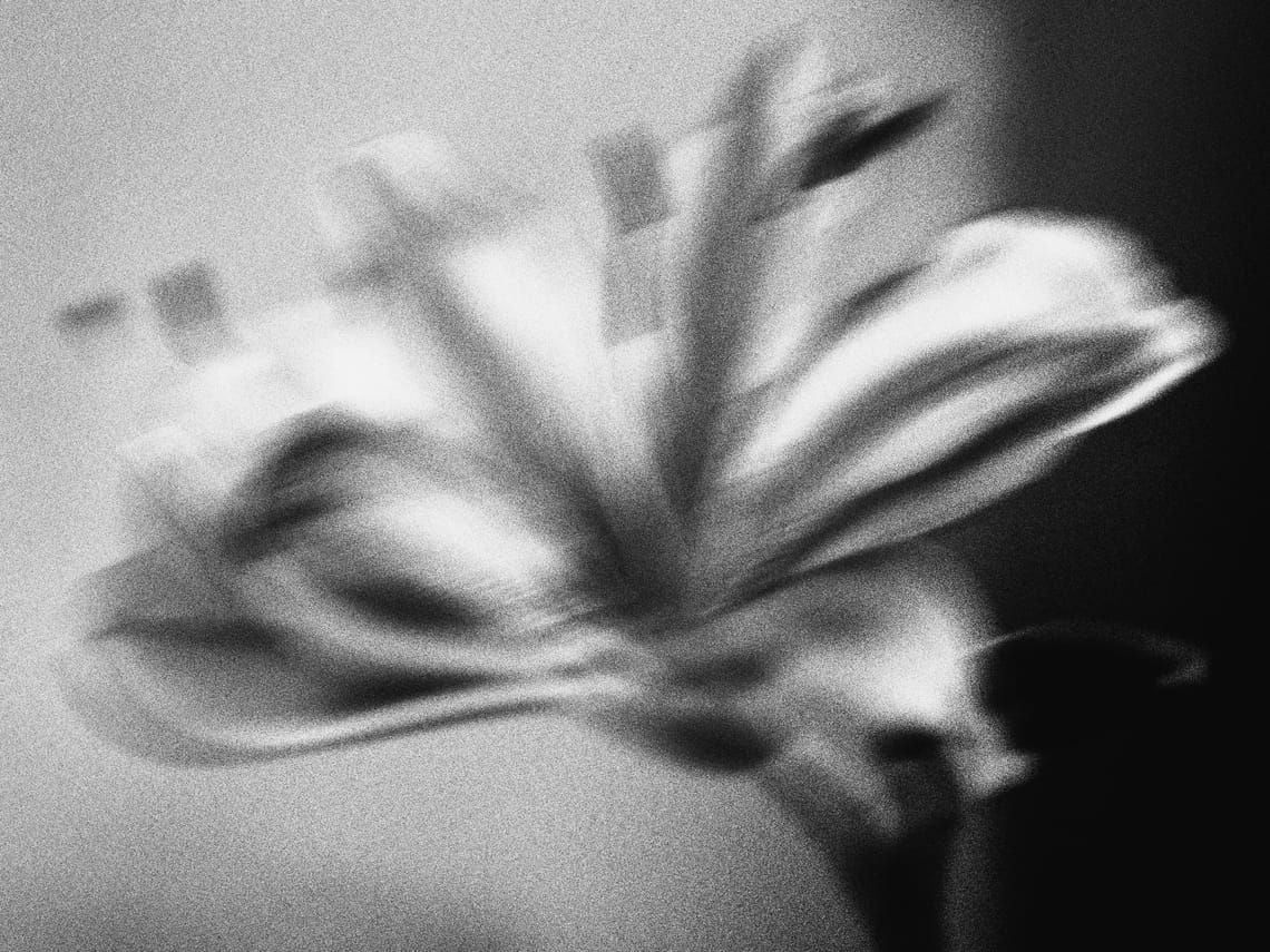 Image Image Blurry Mono Flower 4