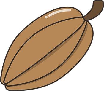 Cacao