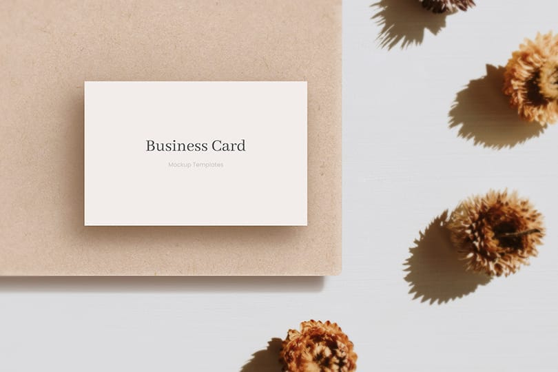 Business Card Mockup On Brown Textured Board With Dry Flower