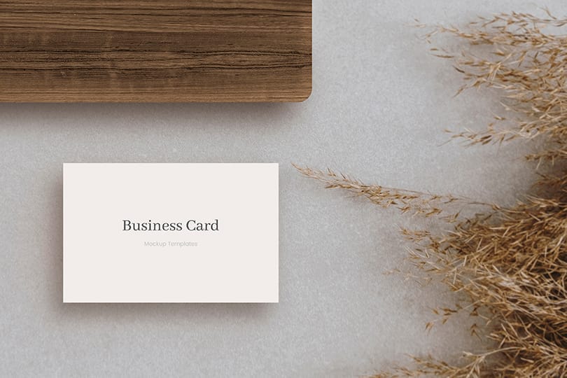 Business Card Mockup With Pampas Grass Accent