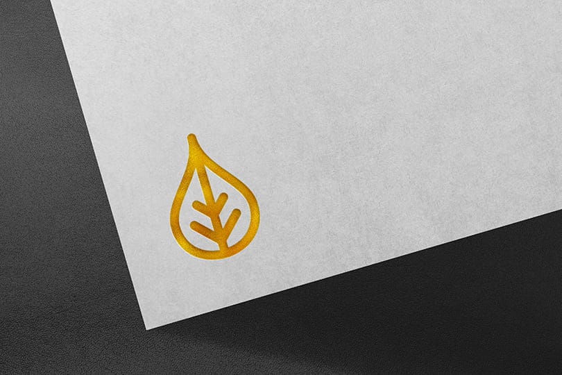 Logo Mockup High Contrast