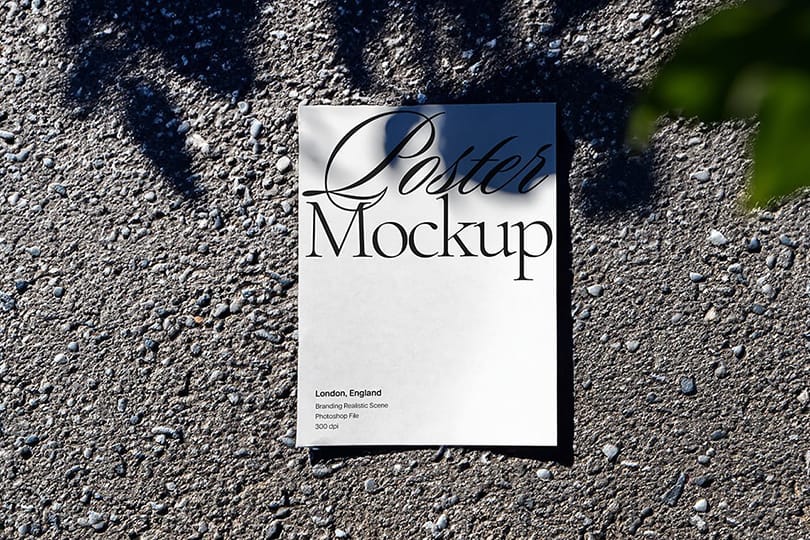 Poster Mockup with Natural Leaf Shadow Overlay