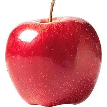 Sticker Red Apple Fruit 2