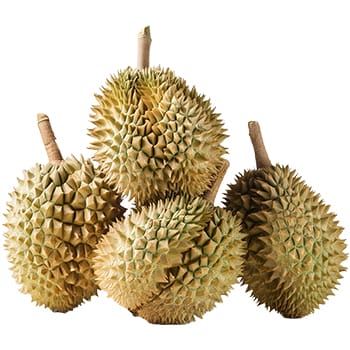 Sticker Stack Of Durian Fruit 1