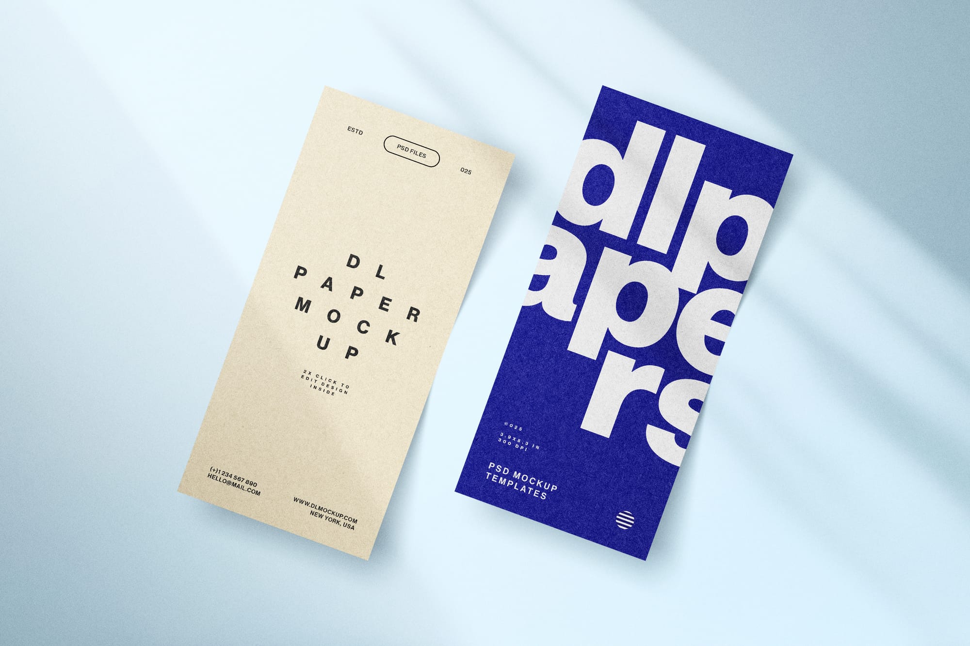 DL Paper Mockup