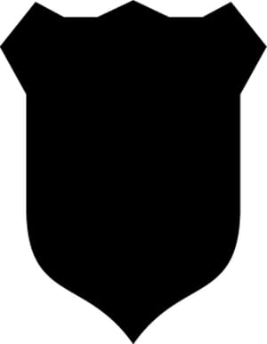 Shield 41