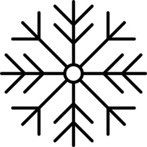 Snowflake 10