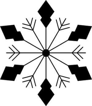 Snowflake 11