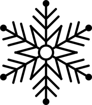 Snowflake 6